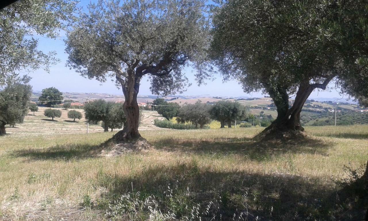 Amor Di Lavanda Cingoli Exterior photo
