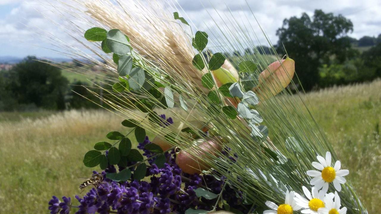Amor Di Lavanda Cingoli Exterior photo