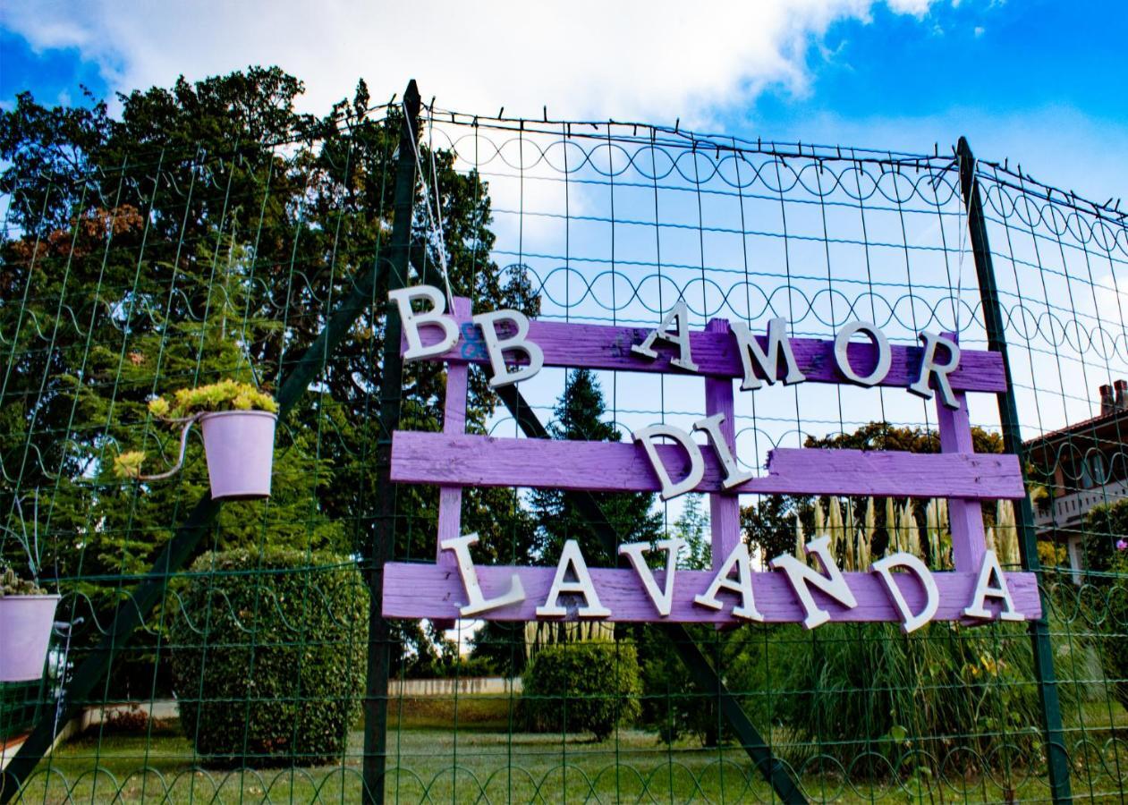Amor Di Lavanda Cingoli Exterior photo